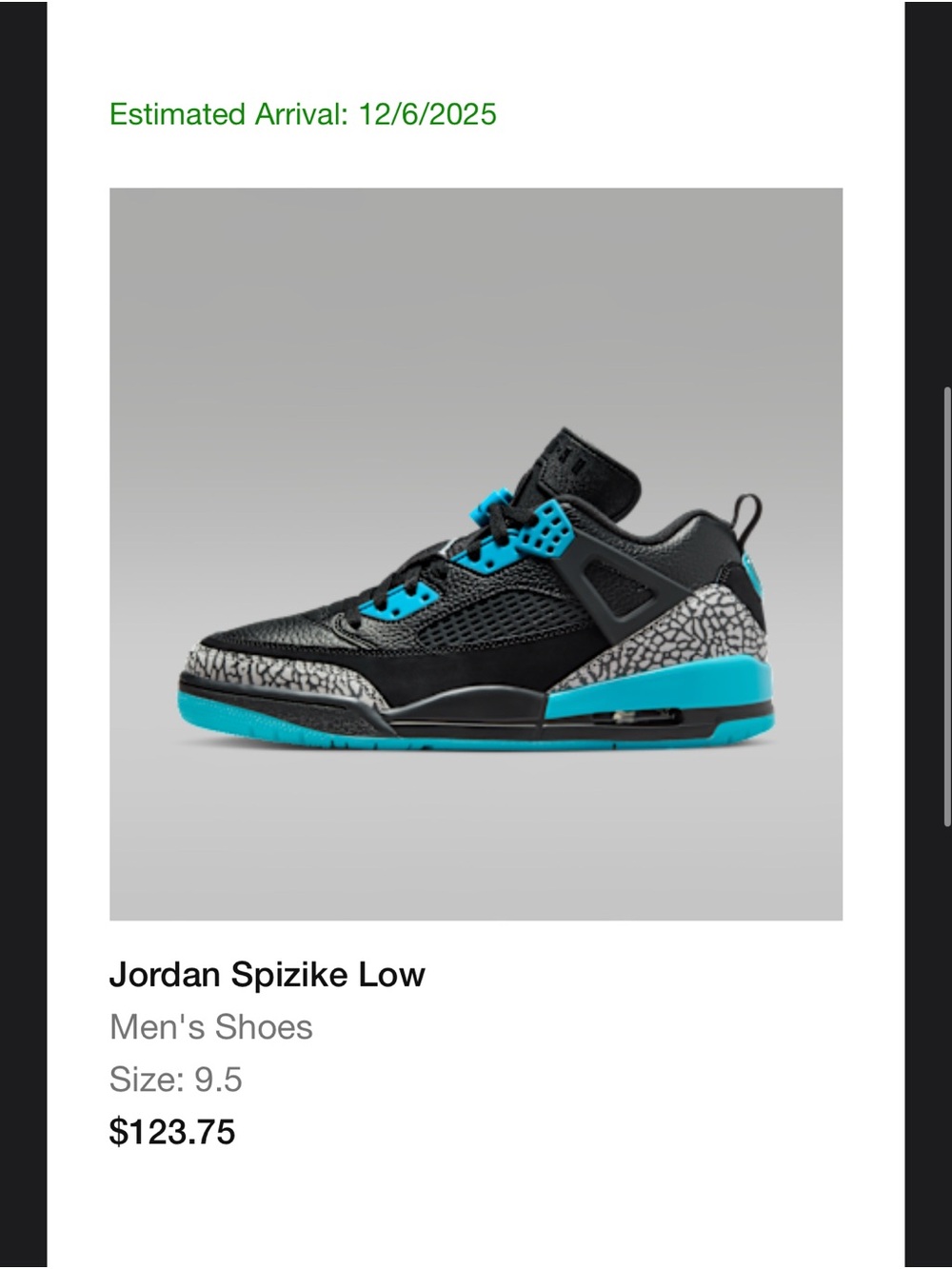 Jordan Kids' Spizike Low Sneakers in Black and Teal